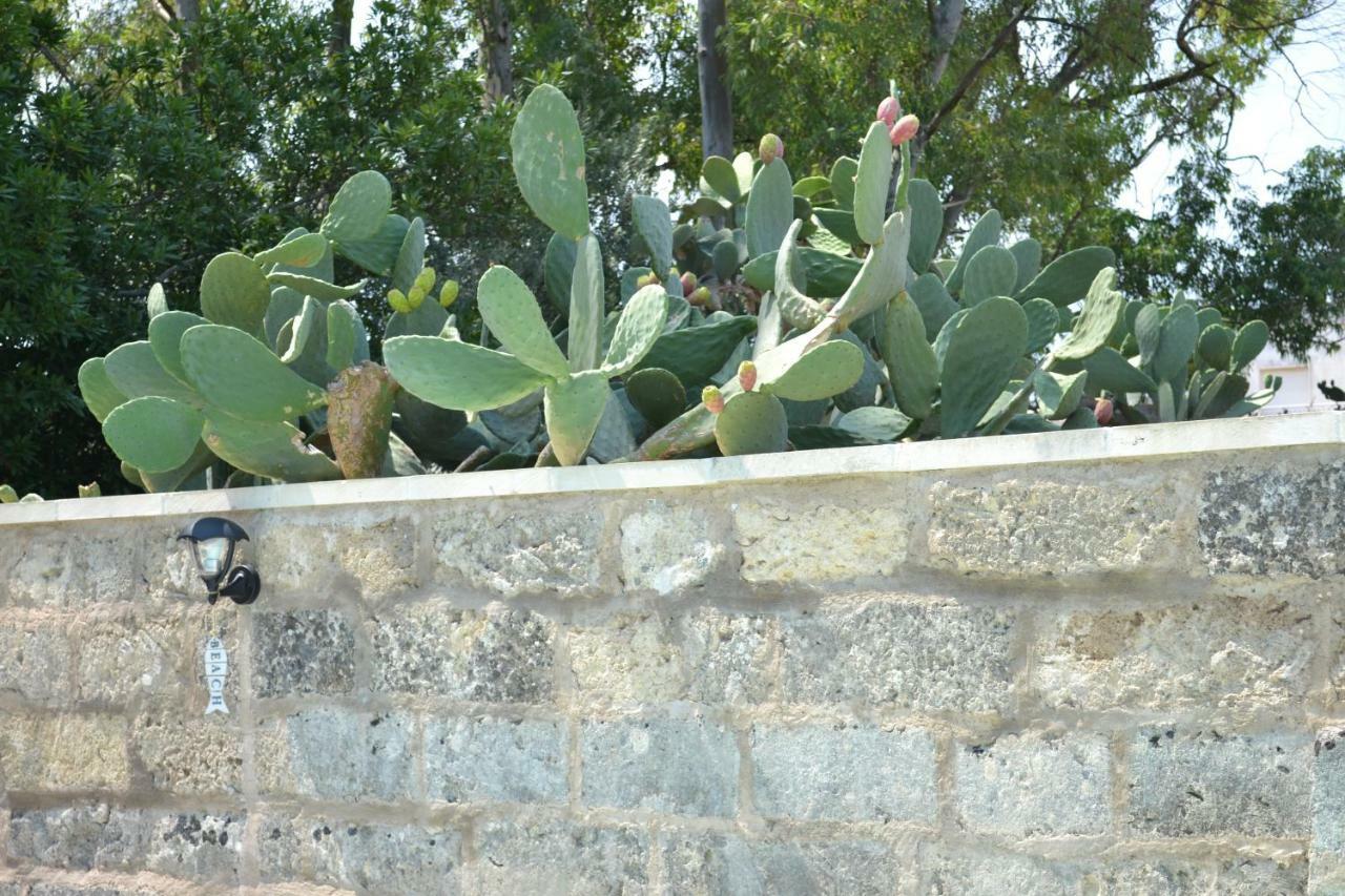 Salento Rosa Dei Venti Holiday home *